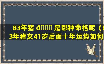 83年猪 🐟 是哪种命格呢（83年猪女41岁后面十年运势如何）